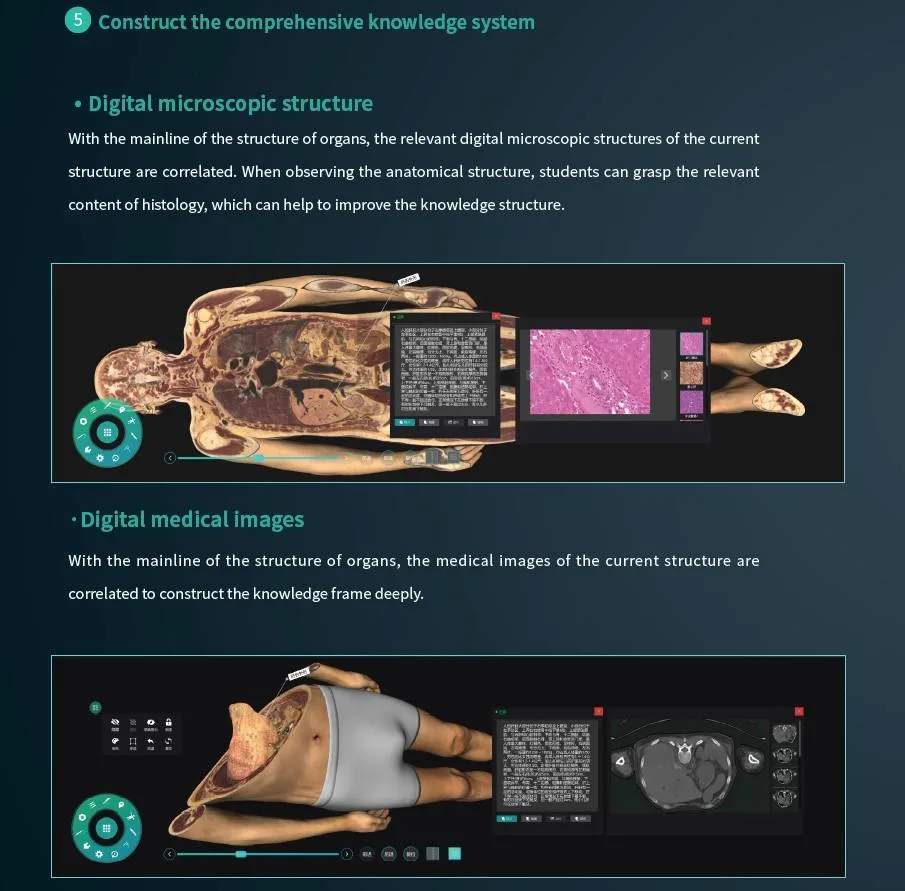 Factory Price Anatomage New 3D Medical for School Anatomy Dissection Virtual Autopsy Table