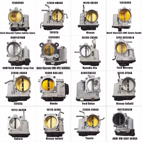 Nueva disección de anatomía corporal de alta calidad para mesa de autopsia virtual de anatomía universitaria