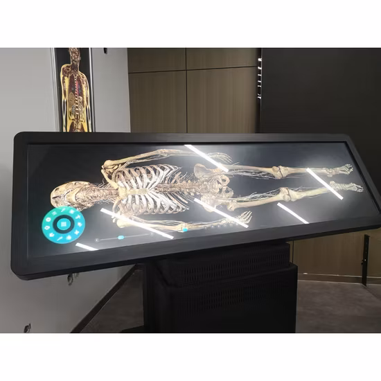 Nuevo sistema digital de anatomía humana Anatomage 3D Body Mesa de autopsia virtual