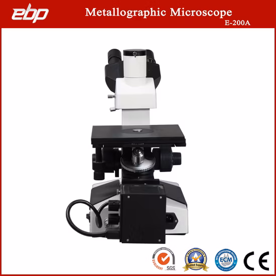 Microscopio óptico de muestra metalográfica invertida trinocular