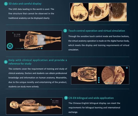 Disección de Anatomage de alta calidad para la mesa de autopsia virtual del cuerpo 3D de anatomía universitaria
