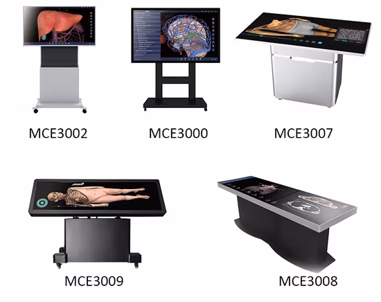 Mesa de anatomía 3D Sistema de mesa de anatomía virtual humana digital HD